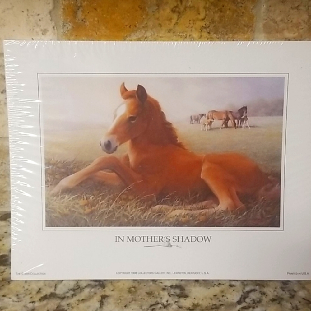 In Mother's Shadow horse prints Bulk Lot